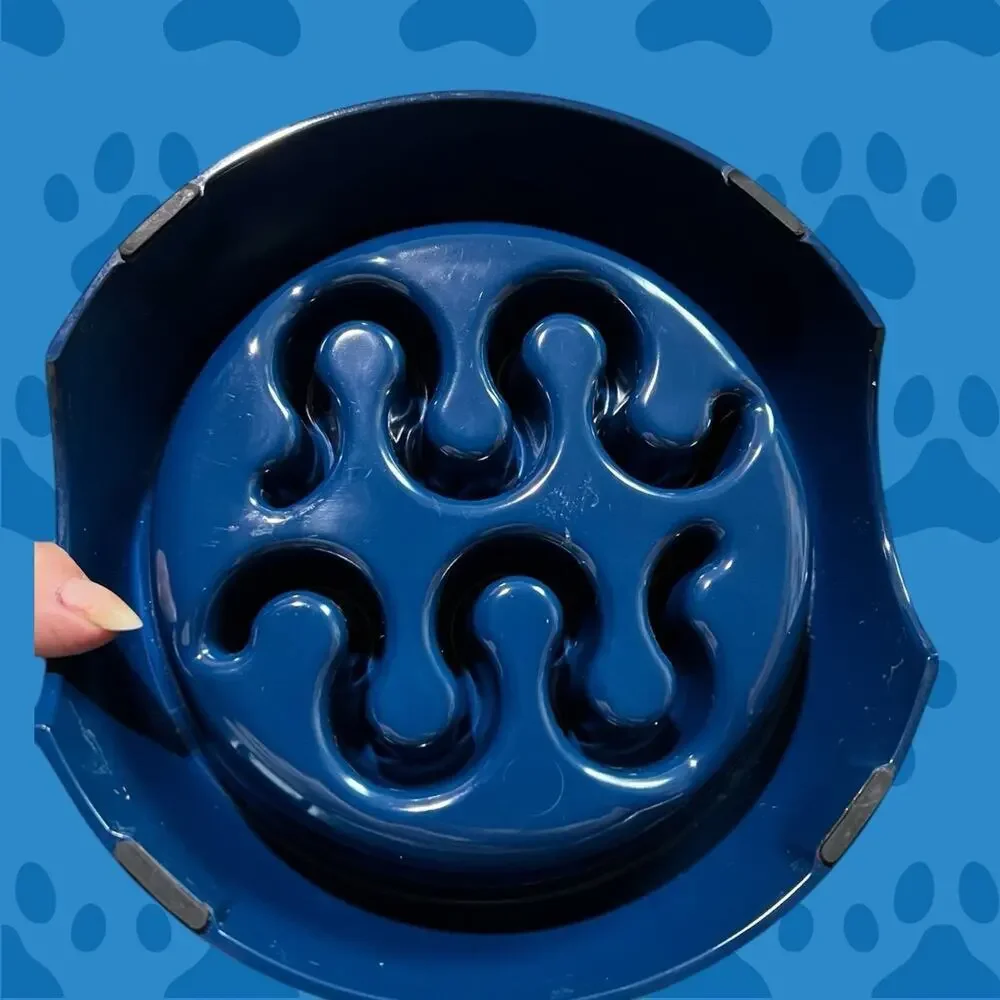 Petco Dog Food Bowl-for the pup that eats too quickly!